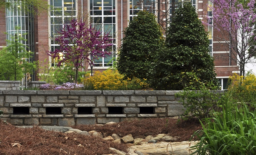 image of stones and trees on Georgia Tech's campus