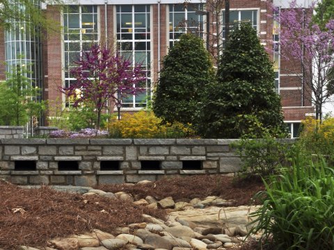 Georgia Institute of Technology Recognized for Its Bee-Friendly Practices
